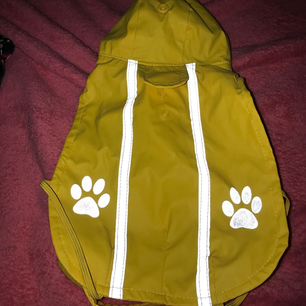Yellow dog rain coat